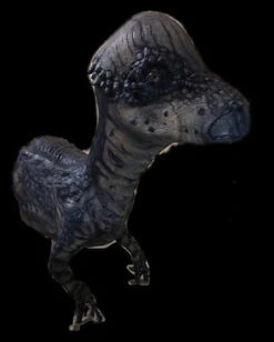 Pachy Dinosaur Half Body Static Prop