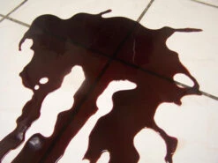 Dragged Blood Pool 24 X18 -Halloween Props Store 60a069 0b93905795ea4e06a25e543b8af943e2mv2