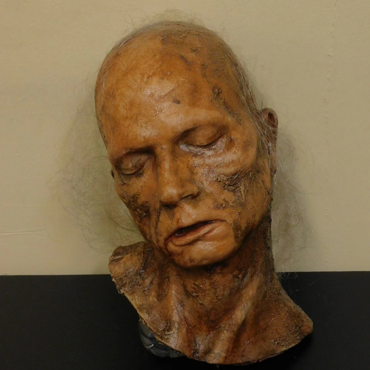 Putrid Alan Head 1 Putrid Alan Head