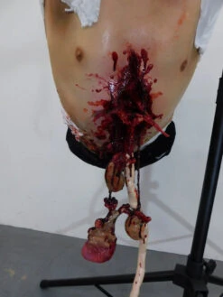 Hog-Tied Oscar Dangler Dummy -Halloween Props Store 60a069 27968d2ef9ed44e8837c1eaa7a728383mv2