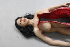 Dura Autopsy Brittany With Pass-Through 15 Dura Autopsy Brittany With Pass-Through -Halloween Props Store 60a069 3050a0793dda415a95b8cb8fa92e506cmv2