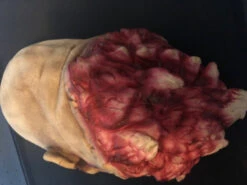 Full Sized Severed Head -Halloween Props Store 60a069 3278b7dd8d794864a4c3e8f5706bb14amv2