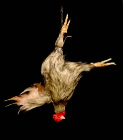 Animal Prop Chicken Hanging - HeadBROWN