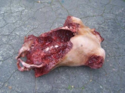 An Extremely Gory Piece, This Deluxe Gore Chest Has Been Ripped Open To Reveal Spine, Ribs And Hip Bones. -Halloween Props Store 60a069 3e6e5d6321b44d71bf86d0594c963259mv2