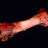 Animal Prop Meat Bone