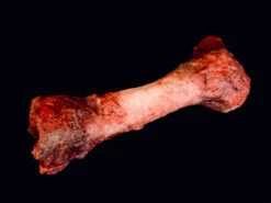 Animal Prop Meat Bone