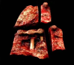 Animal Prop Beef Meat Cuts