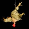 Animal Prop Chicken Hanging Plucked - Head BROWN