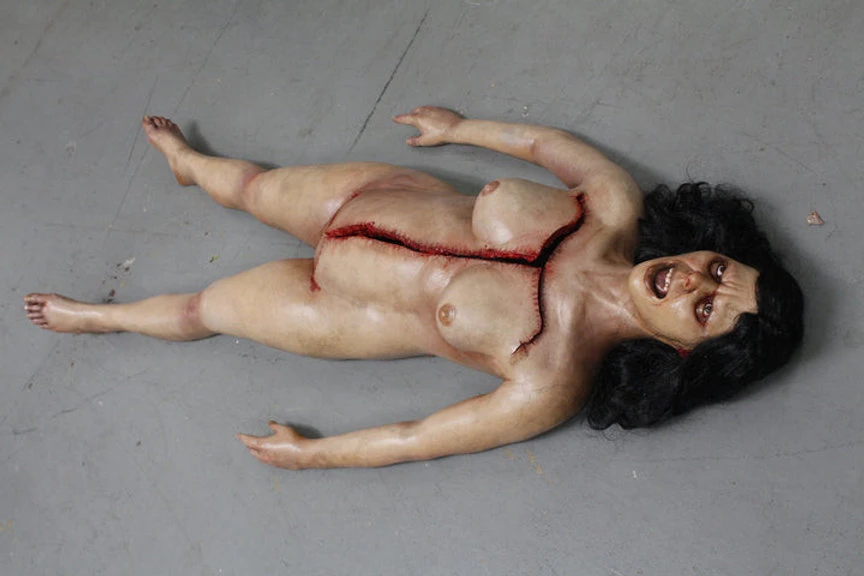 Dura Autopsy Brittany With Pass-Through 5 Dura Autopsy Brittany With Pass-Through - Image 5