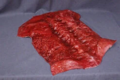 Meat Torso Skin -Halloween Props Store 60a069 4a3030994701406db843fb83a3414161mv2