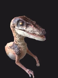 Raptor Half Static Prop -Halloween Props Store 60a069 4a8cd2b9f96343759ded9ab7ad465390mv2