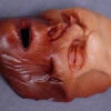 Dura Sallow Peeled Face Skin