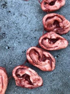 Severed Ear Necklace -Halloween Props Store 60a069 4e93262394bf436290994c66646e8cb4mv2