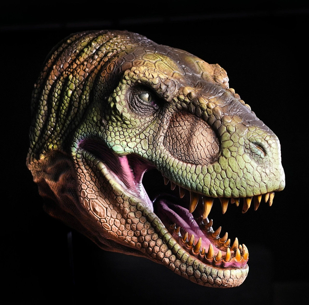 T Rex Wall Mount Head 1 T Rex Wall Mount Head