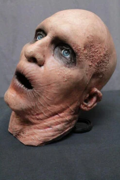 Joaquin Head -Halloween Props Store 60a069 539c95403ffc43918ada13d364a30505mv2