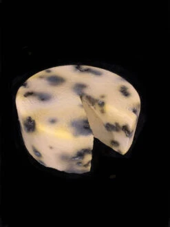 Faux Food Prop Cheese Wheel Moldy -Halloween Props Store 60a069 5618026d661848d785a4c478a715aafemv2