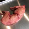 Rabbit Prop Skinned