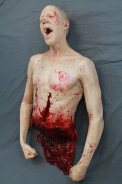 Split Martin Bloody Torso -Halloween Props Store 60a069 5c22516b637d441788906ea0f0ecce9cmv2