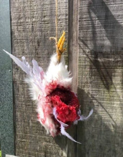 Animal Prop Chicken Hanging Dismembered -Halloween Props Store 60a069 5d680d3e4c8f4d5a8172806478e60ab8mv2