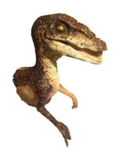 Raptor Half Static Prop -Halloween Props Store 60a069 5d71afd1a5ed46d5813037025e48b71amv2