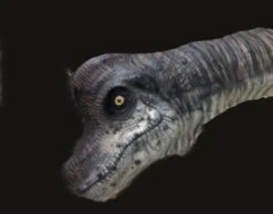 Halloween Props Store -Halloween Props Store 60a069 62bab6eaa88b4afcb49a3d23616df703mv2