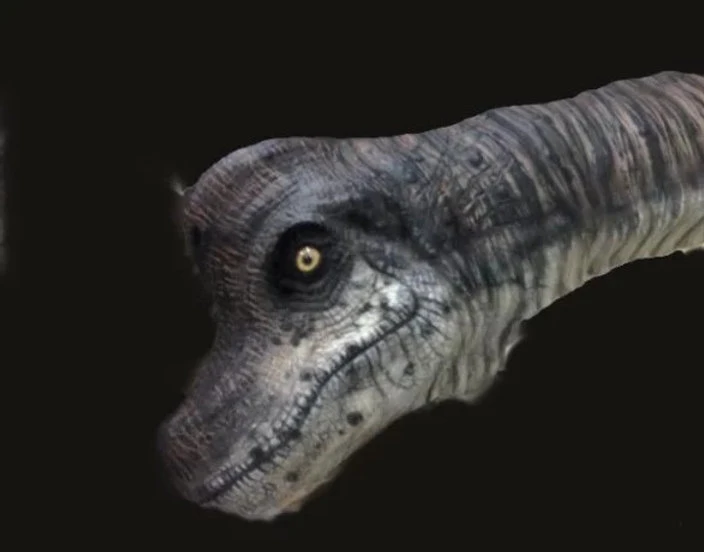 Brachiosaurus Static Display Prop 2 Brachiosaurus Static Display Prop - Image 2