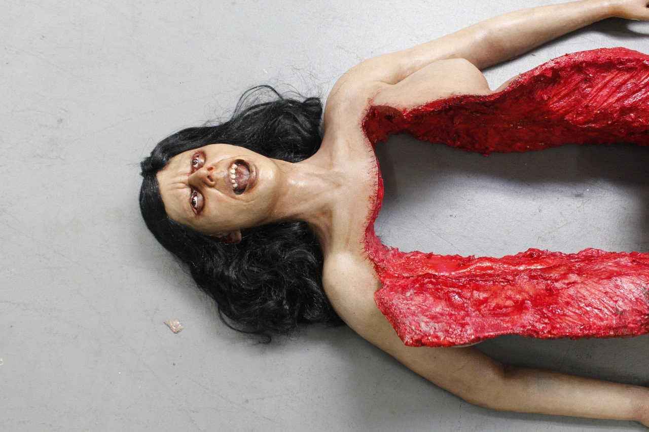 Dura Autopsy Brittany With Pass-Through 4 Dura Autopsy Brittany With Pass-Through - Image 4