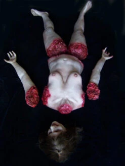 Chopped Kristina -Halloween Props Store 60a069 6be7d0b215f244b989ee7c539d3c315bmv2