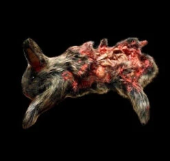Animal Prop Rabbit Dismembered Large