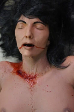 Split Meredith -Halloween Props Store 60a069 7166bd07a3cc47f6bf089d2d6d2d34a6mv2