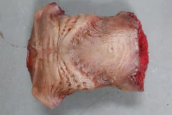 Zombie Torso -Halloween Props Store 60a069 761442aebf8b43f886497aa558d20491mv2