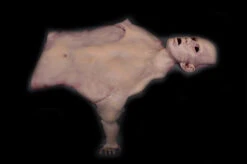 Flayed Half Man -Halloween Props Store 60a069 76901c8abf644cdebc64518c828e5c19mv2