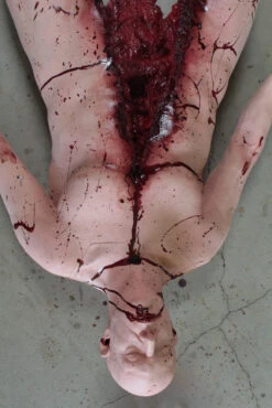 Bifurcated Ben Body -Halloween Props Store 60a069 7d8b4e9f948b437fa4566a1241fa237cmv2