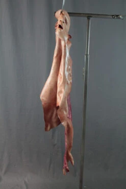 Flayed Half Man -Halloween Props Store 60a069 7ed35358bf694055acd180edfc5d6d13mv2