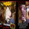Meat Locker Room 1
