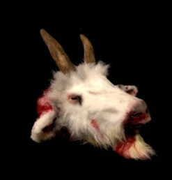 Animal Prop Goat Head Buck -Halloween Props Store 60a069 7fe91e80558a471c9f8d651df0a84b94mv2
