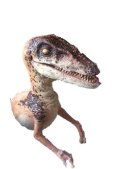 Raptor Half Static Prop -Halloween Props Store 60a069 84e16bec2e0b46298bdd5084cb40930emv2