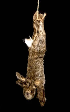 Animal Prop Rabbit Hanging - Large