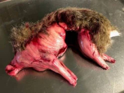 Animal Prop Rabbit Skinned With Fur - Large
