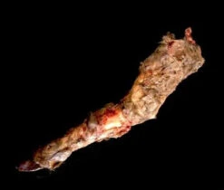 Animal Prop Calf Leg Rotted -Halloween Props Store 60a069 88ab560c107740d1b16aec1e99d3993fmv2