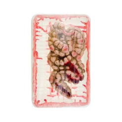 Butcher Shop Small Intestine