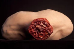 Male Neck Stump -Halloween Props Store 60a069 93323e93f98b453b9400f2eb4488382dmv2