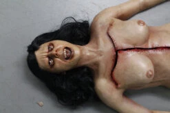 Dura Autopsy Brittany With Pass-Through 10 Dura Autopsy Brittany With Pass-Through -Halloween Props Store 60a069 95563d59df69483189a44c7bd1d730b0mv2