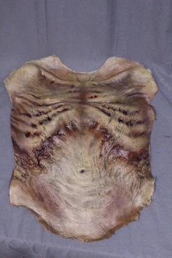 Zombie Torso SkinProfessional Quality