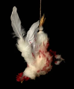 Animal Prop Chicken Hanging Dismembered
