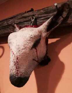 Full Size Sheep Head