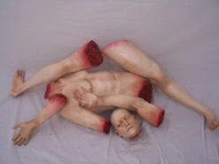 Chopped Jack -Halloween Props Store 60a069 a4a1214483b742209069b6b621b5809cmv2