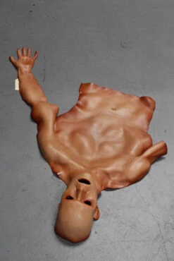 Flayed Half Man -Halloween Props Store 60a069 ad2594408bb54aafb7b5095f5b99c7c2mv2
