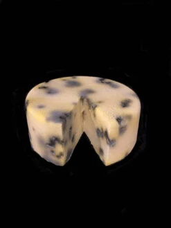 Faux Food Prop Cheese Wheel Moldy