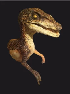 Raptor Half Static Prop -Halloween Props Store 60a069 b051610ed13740f7980d53e1b295814emv2